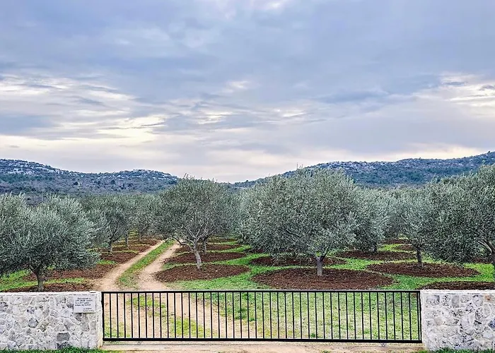 Robinson House Orkula In The Heart Of Olive\'S Yard
