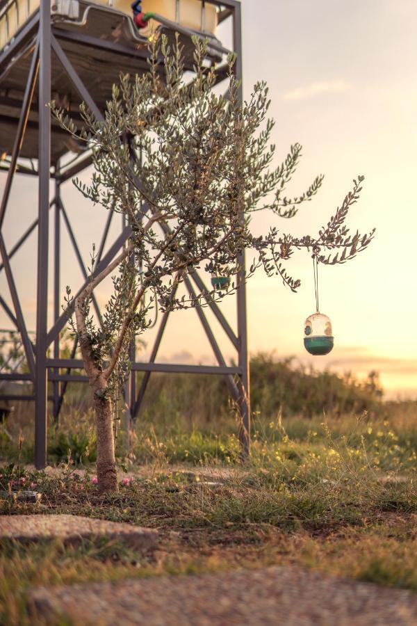 Holiday home Robinson House Orkula In The Heart Of Olive's Yard