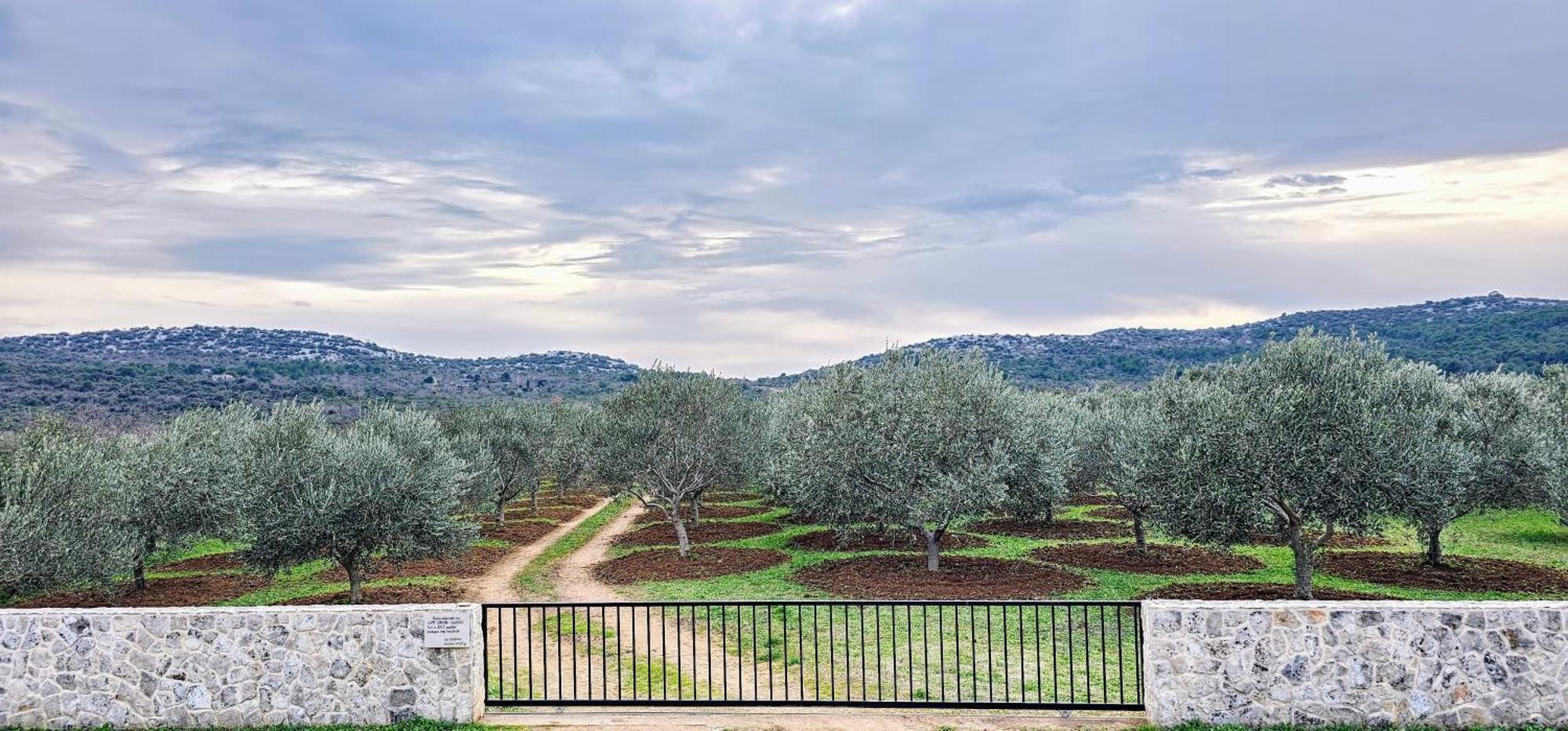 Robinson House Orkula In The Heart Of Olive's Yard * Puticanje
